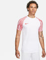Dri-FIT Academy Soccer shirt