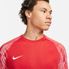 Dri-FIT Academy Soccer shirt