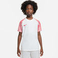 Dri-FIT Academy kids shirt
