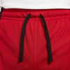Jordan Sport Dri-FIT Mesh short