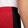 Jordan Sport Dri-FIT Mesh short