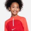Dri-FIT Academy Pro shirt