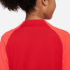 Dri-FIT Academy Pro shirt