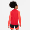 Dri-FIT Academy Pro shirt