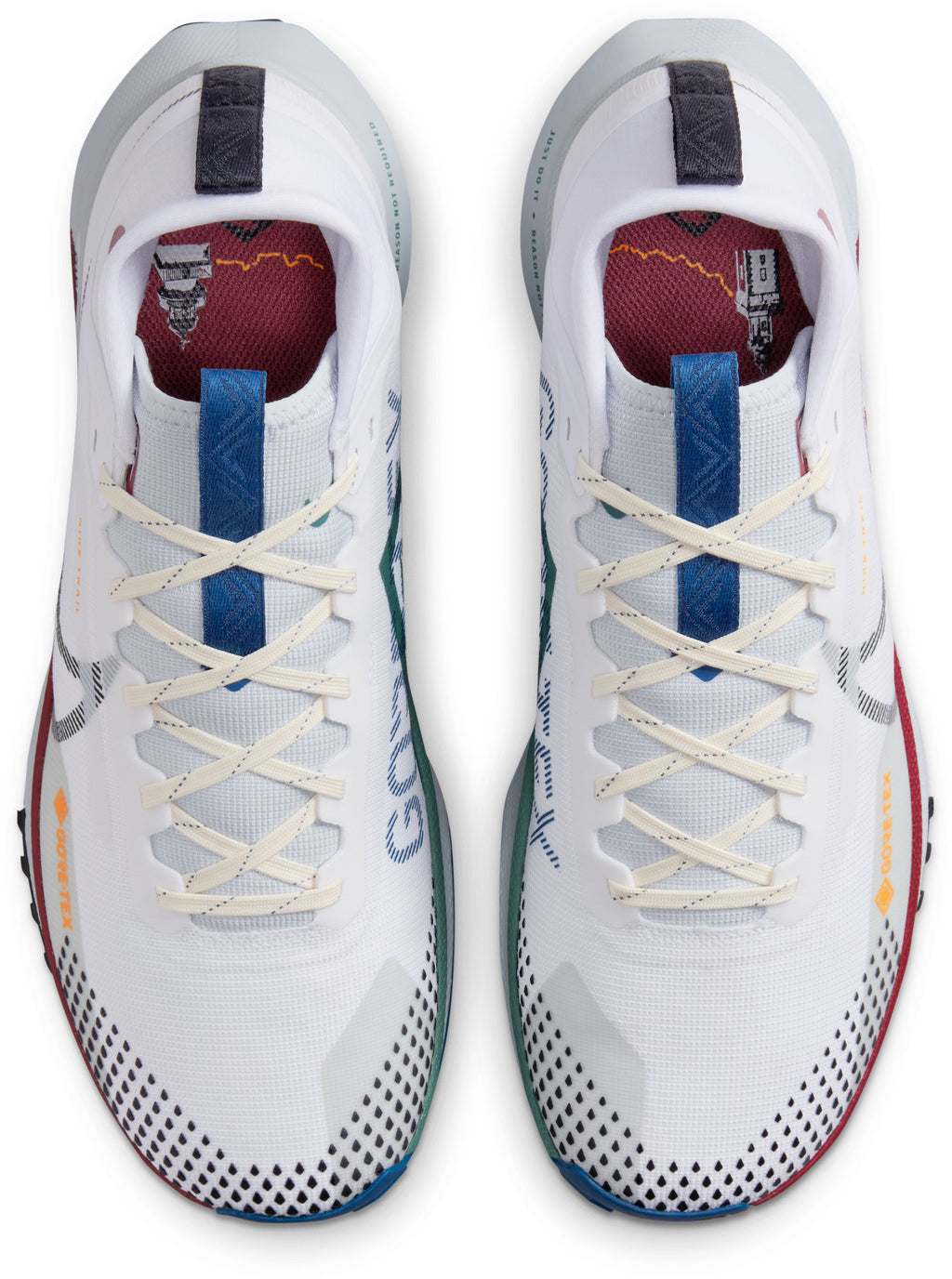 React Pegasus 4 Gore-tex trailrunschoenen