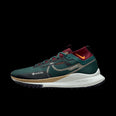 React Pegasus 4 Gore-tex trailrunschoenen