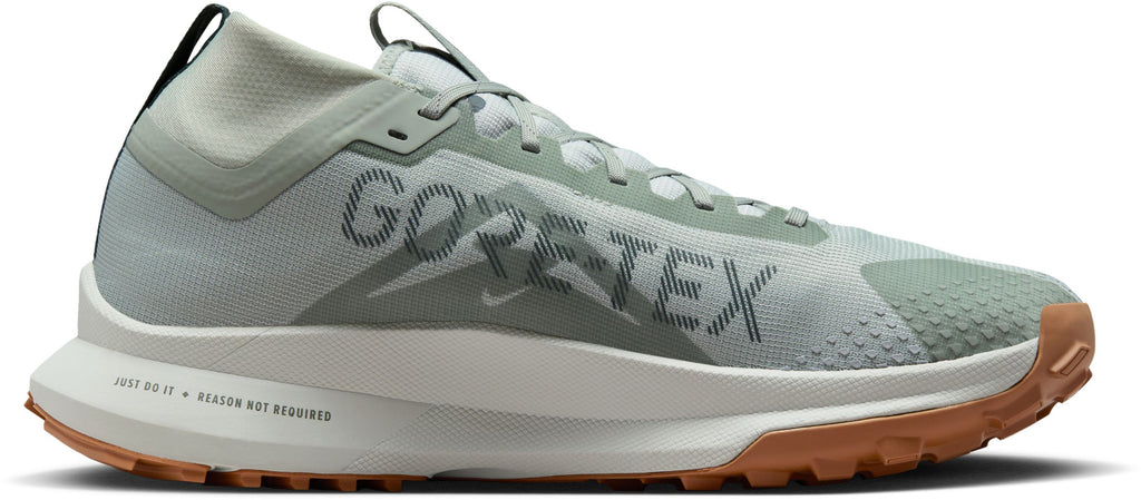 React Pegasus 4 Gore-tex trailrunschoenen