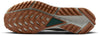 React Pegasus 4 Gore-tex trailrunschoenen
