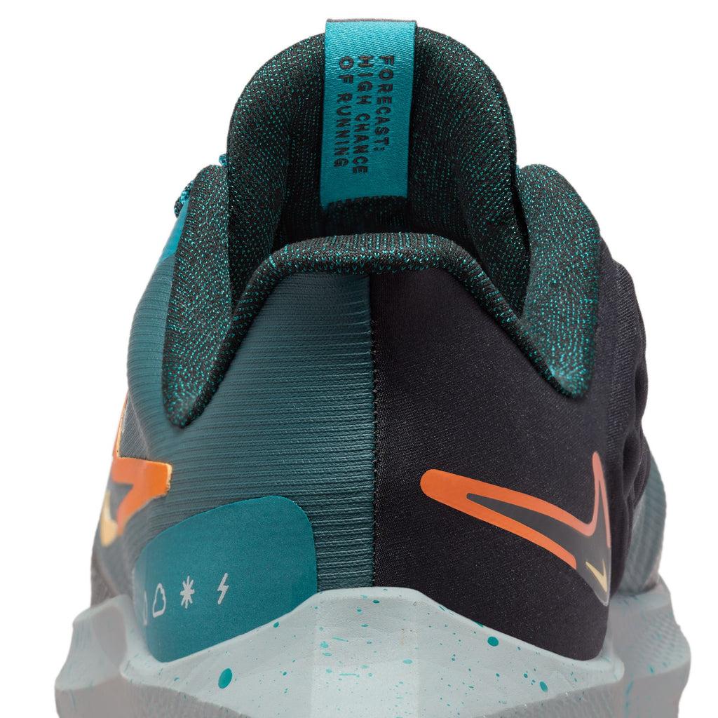 Air Zoom Pegasus 39 Shield hardloopschoenen