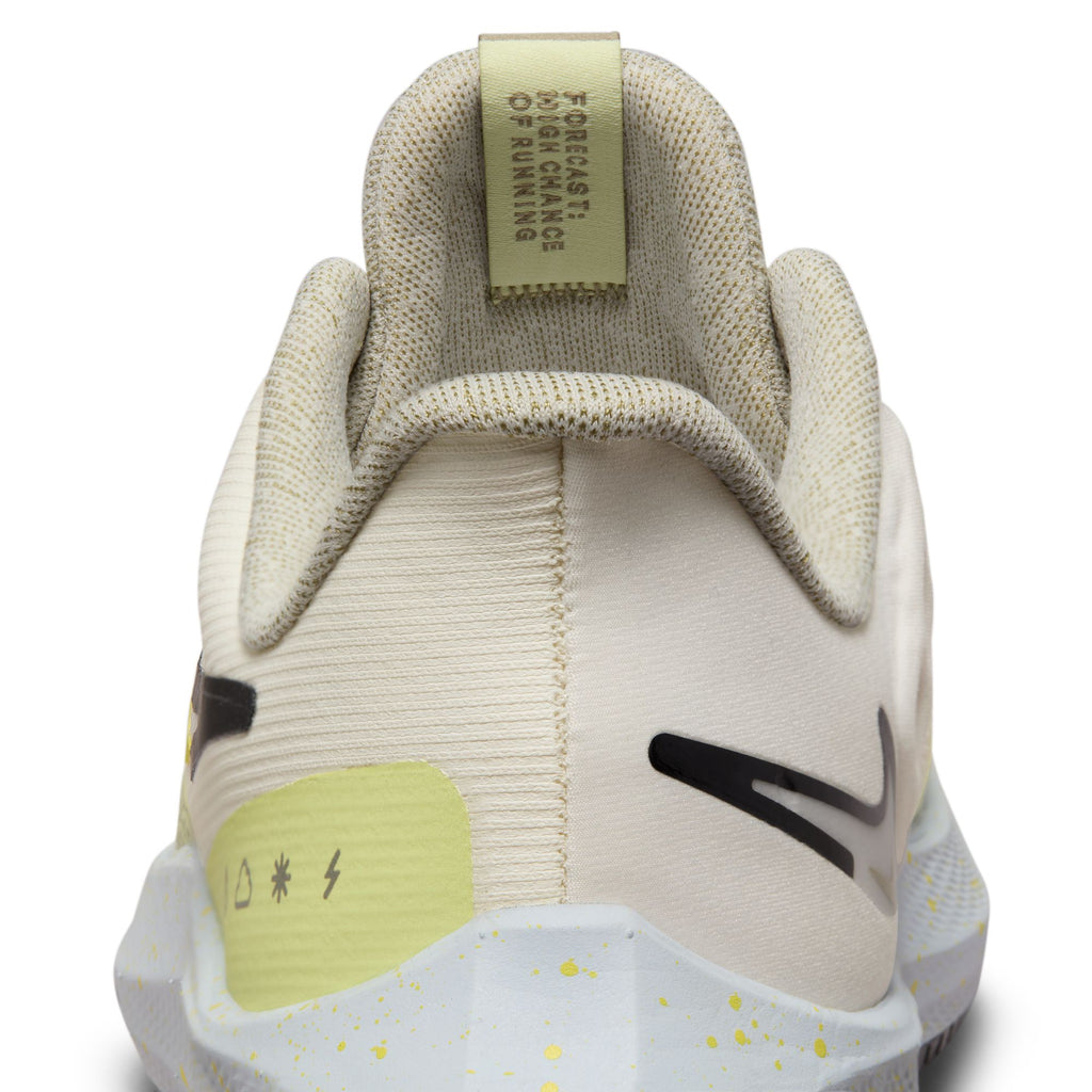 Air Zoom Pegasus 39 Shield hardloopschoenen