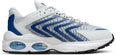 Air Max sneakers