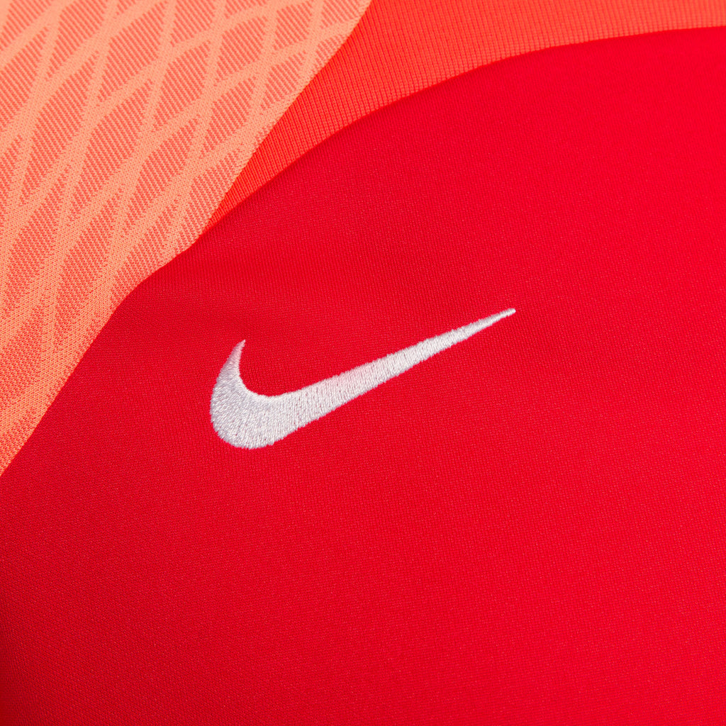 Dri-FIT Strike 3 shirt