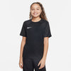 Dri-FIT Strike 3 shirt