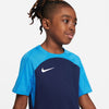Dri-FIT Strike 3 shirt