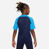 Dri-FIT Strike 3 shirt