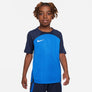 Dri-FIT Strike 3 shirt