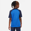Dri-FIT Strike 3 shirt