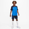 Dri-FIT Strike 3 shirt