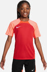 Dri-FIT Strike 3 shirt