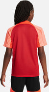 Dri-FIT Strike 3 shirt