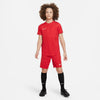 Dri-FIT Academy kids shirt