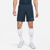 Dri-FIT Academy trainingsshort