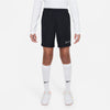 Dri-FIT Academy kids short