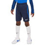 Dri-FIT Strike Knit kids short