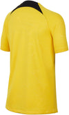 Paris Saint-Germain Dri-Fit 4e wedstrijdshirt