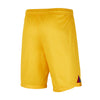 FC Barcelona 2023/24 Stadium Vierde short