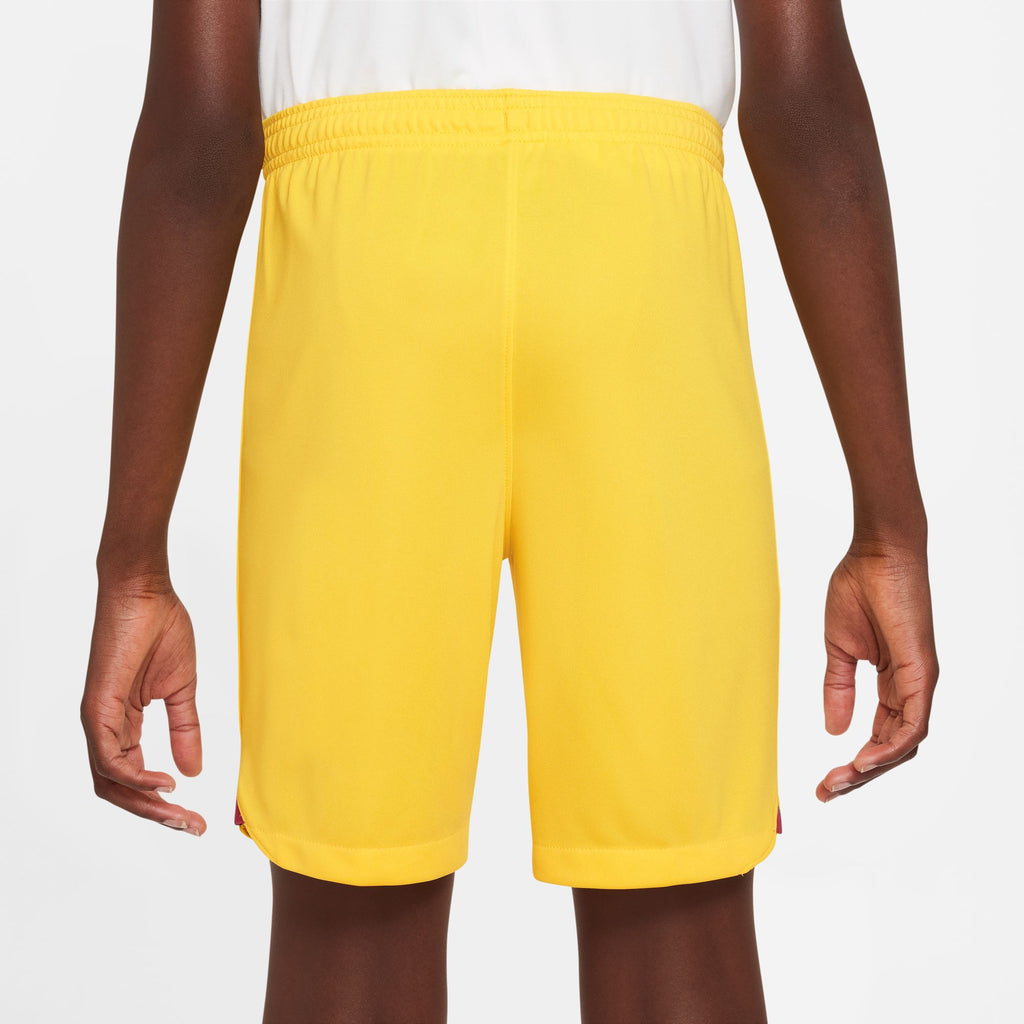 FC Barcelona 2023/24 Stadium Vierde short