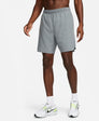 Challenger Dri-FIT 2-in-1 short