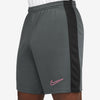 Dri-FIT Academy Soccer short