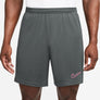 Dri-FIT Academy Soccer short