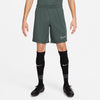 Dri-FIT Academy Soccer short