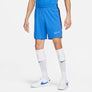Dri-FIT Academy Soccer short