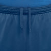 Dri-FIT Academy Soccer short