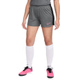 Dri-FIT Acd23 Branded short