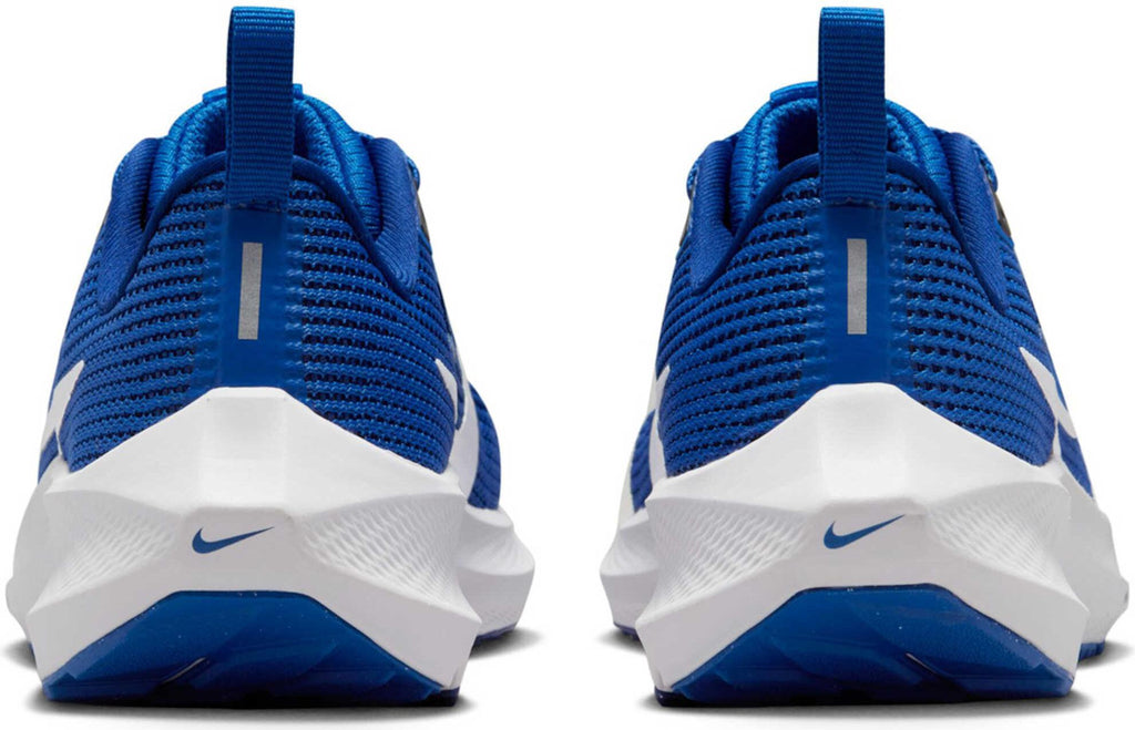 Air Zoom Pegasus 40 hardloopschoenen