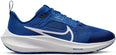 Air Zoom Pegasus 40 hardloopschoenen