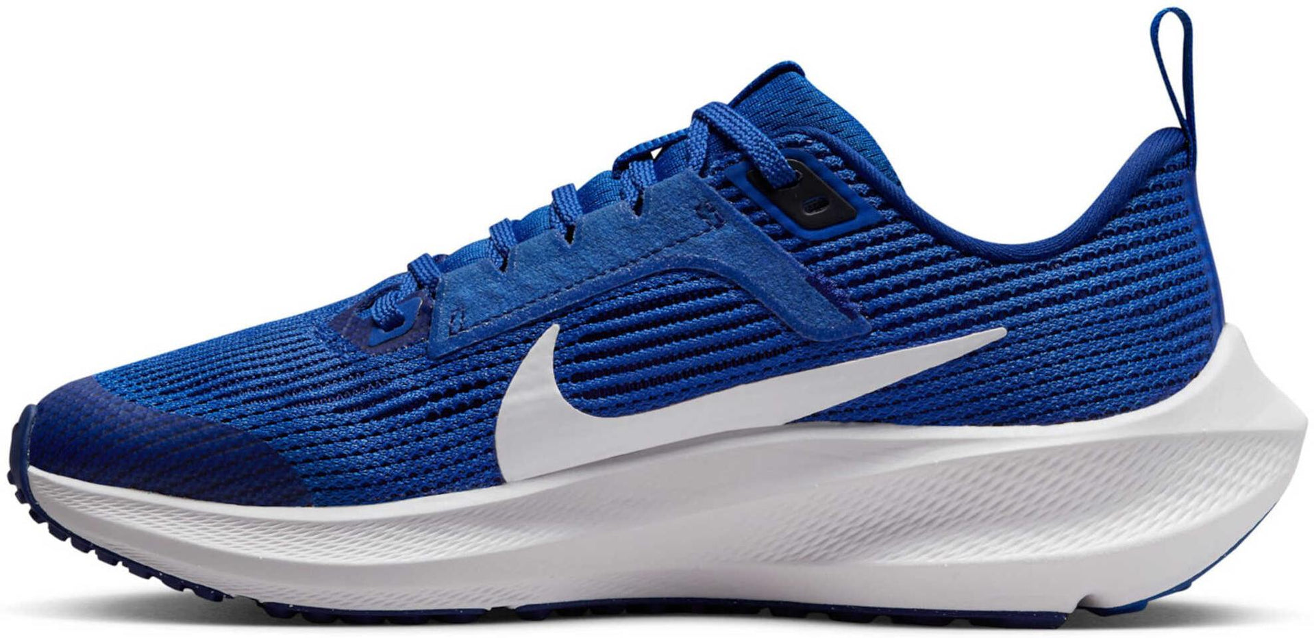 Air Zoom Pegasus 40 hardloopschoenen