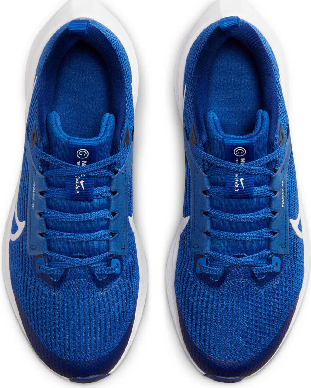 Air Zoom Pegasus 40 hardloopschoenen
