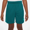 Multi Dri-FIT Graphic Training kids Short