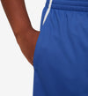 Multi Dri-FIT Graphic Training kids Short