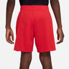 Multi Dri-FIT Graphic Training kids Short