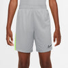 Dri-FIT Academy 23 short