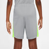 Dri-FIT Academy 23 short