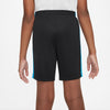 Dri-FIT Academy 23 short