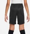 Dri-FIT Academy 23 short