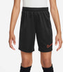 Dri-FIT Academy 23 short